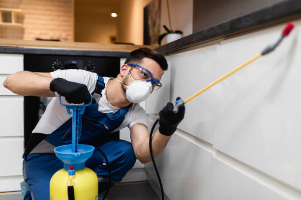 Best Cockroach Control Services  in Mount Airy, MD