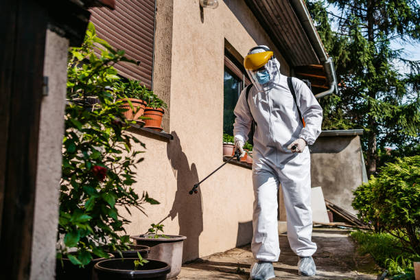 Wasp Removal Services in Mount Airy, MD