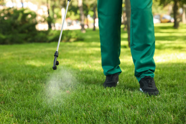 Pest Prevention Services in Mount Airy, MD