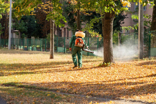 Best Pest Inspection Near Me  in Mount Airy, MD
